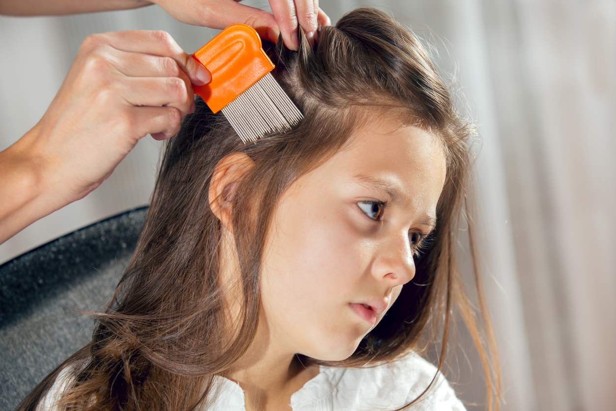 A girl gets her hair combed with a lice comb