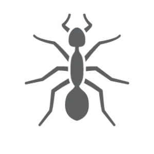 Ant icon.