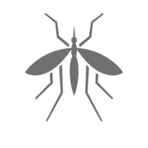 Mosquito icon.