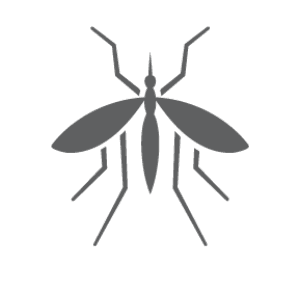 Mosquito icon.