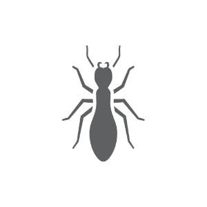 Termite icon.