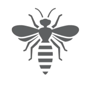 Wasps
