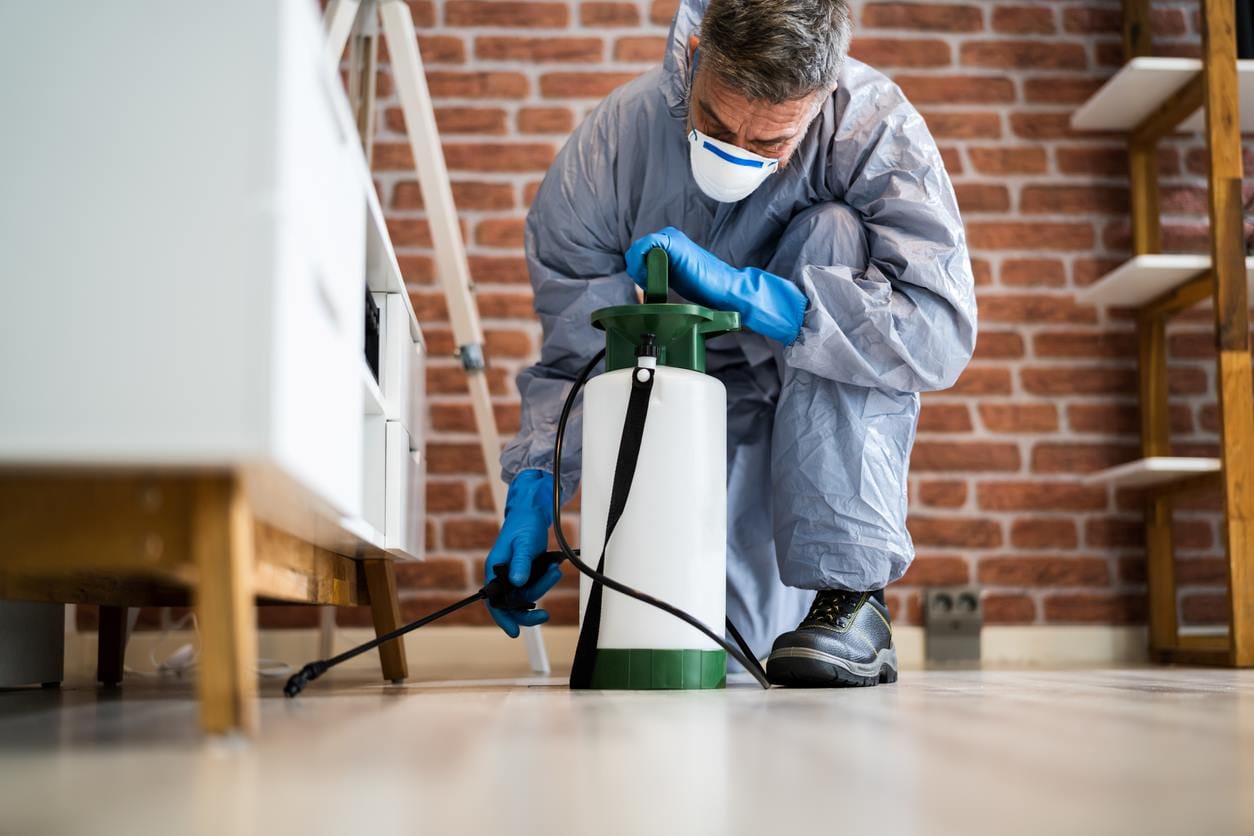 exterminator sprays mixture underneath couch.