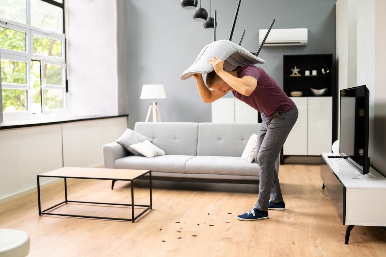 person attempts to hit cockroaches on the floor with a pillow