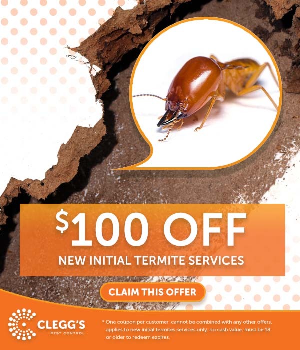 $100 off new initial termite services.