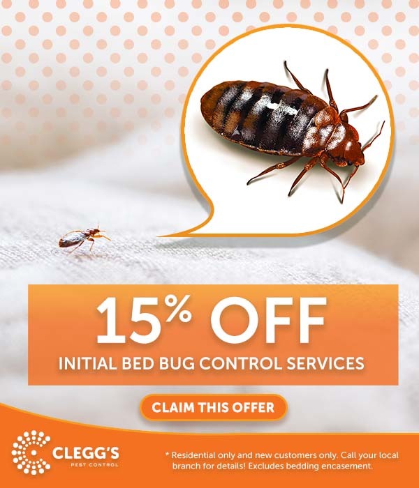 15% off initial bed bug control services.