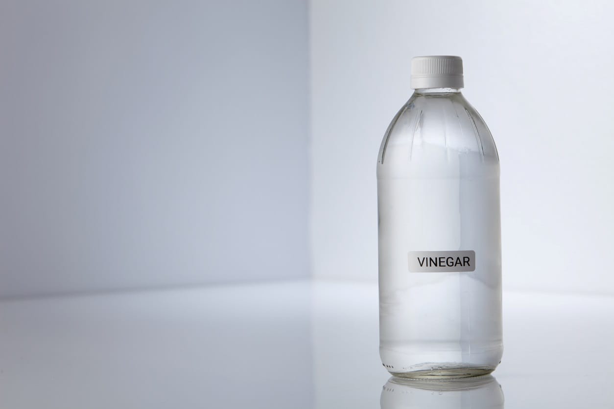 Does Vinegar Kill Flies?