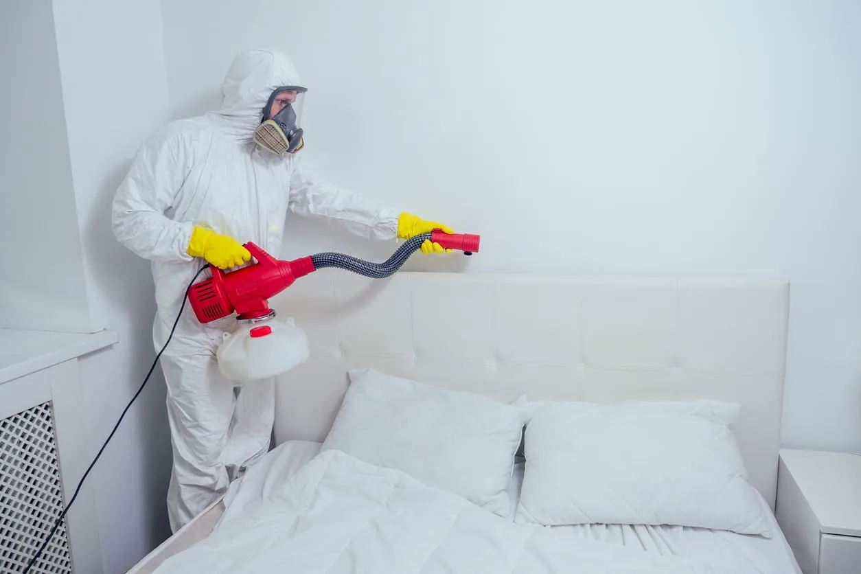 Pest control professional in protective suit sprays down bed for bed bugs. 