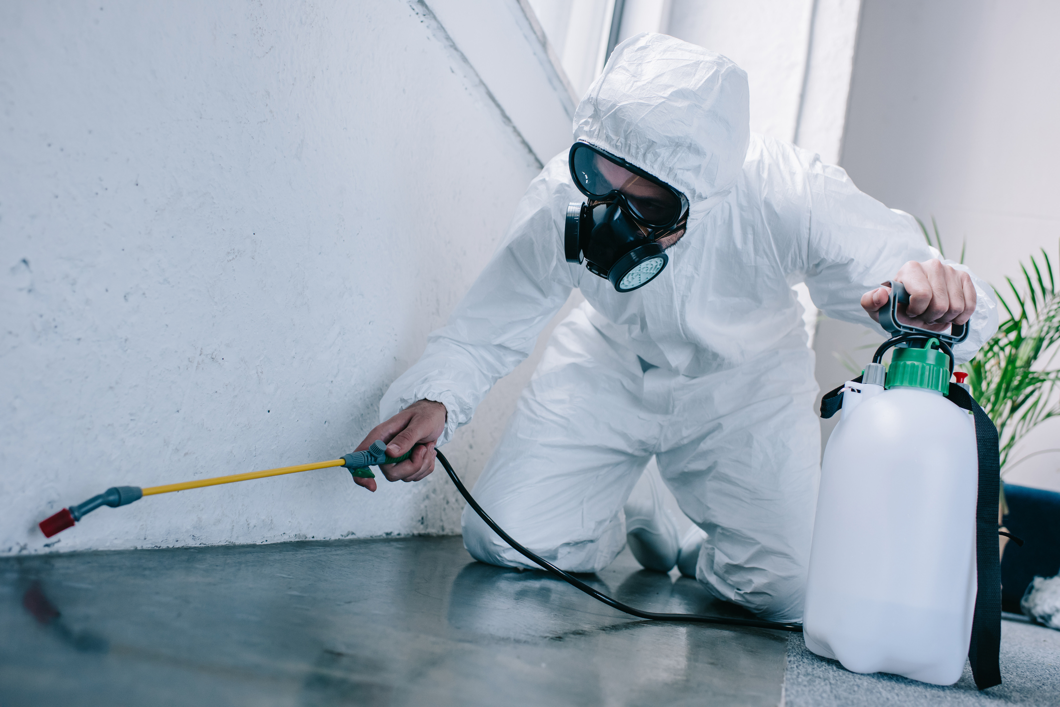  Pest control technician spraying pesticide on the floor inside of a house. 
