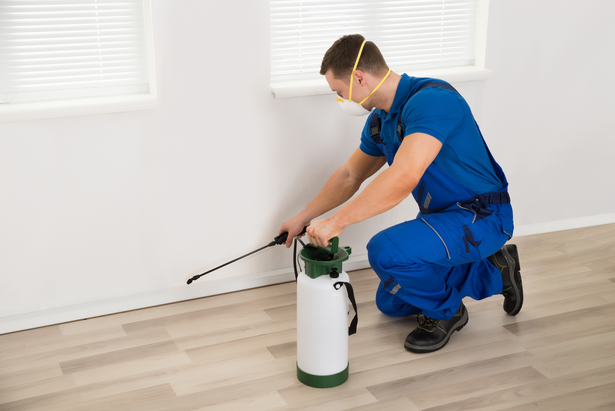 Pest control professional spraying pesticide along the wall inside of a house. 


