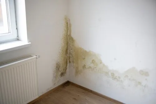 Mildew and moisture damage on interior wall