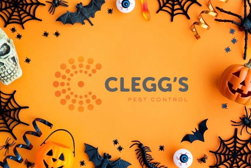 Clegg's Pest Control home page promotional image