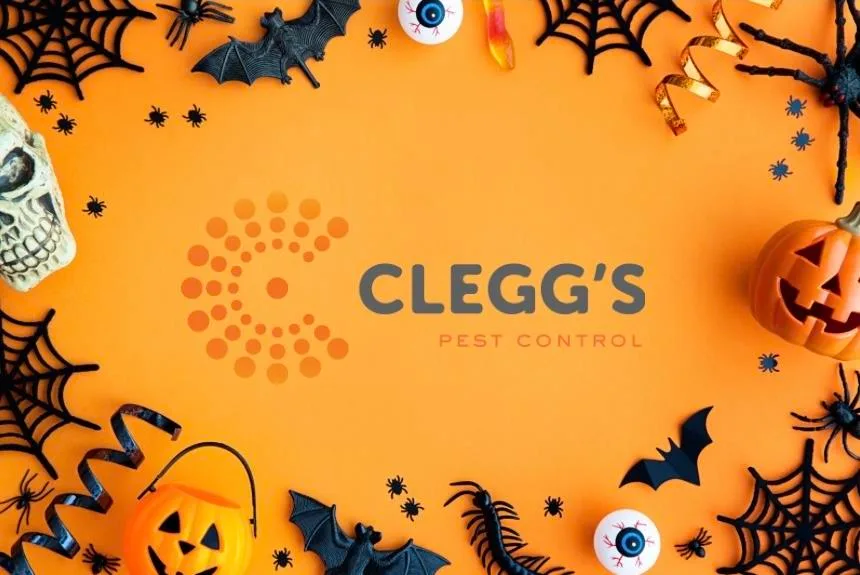 Clegg's Pest Control home page promotional image