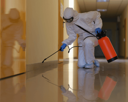 Clegg's project overview