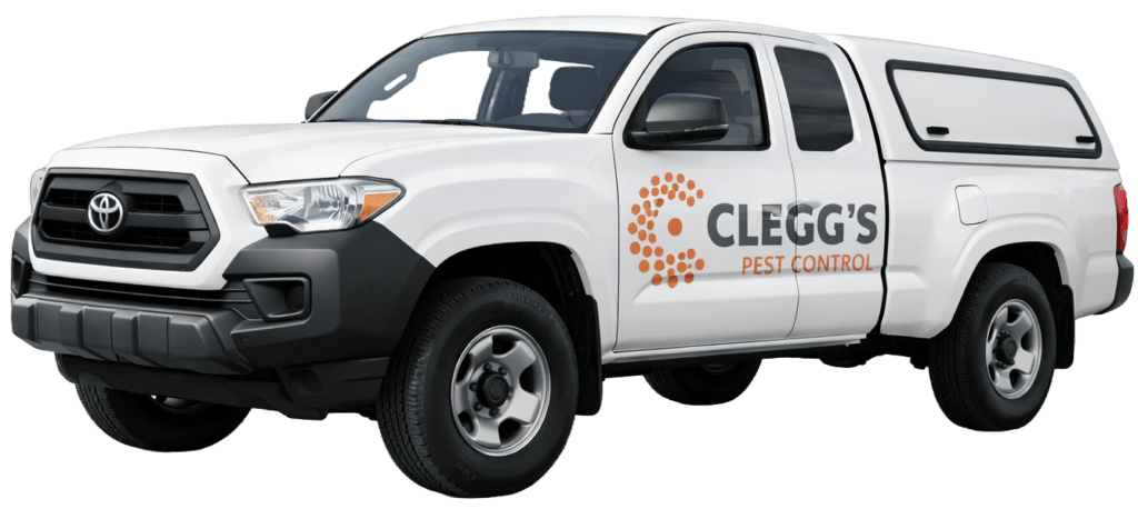 Clegg's Pest Control promotional graphic