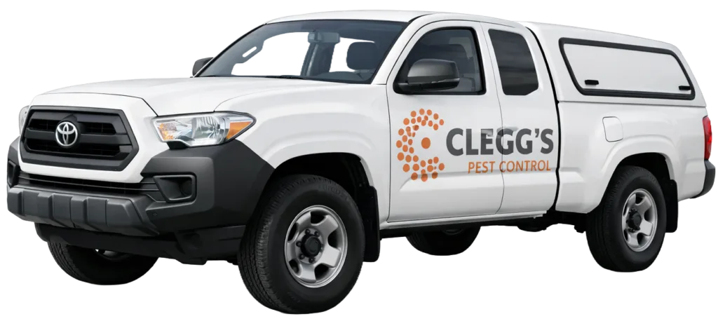 Clegg's Pest Control promotional graphic