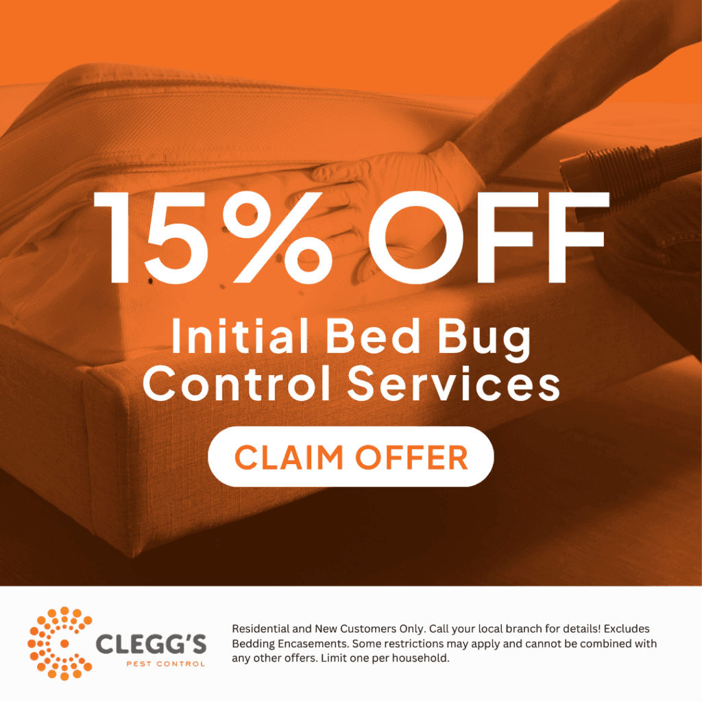 Bed bug control services promotional graphic