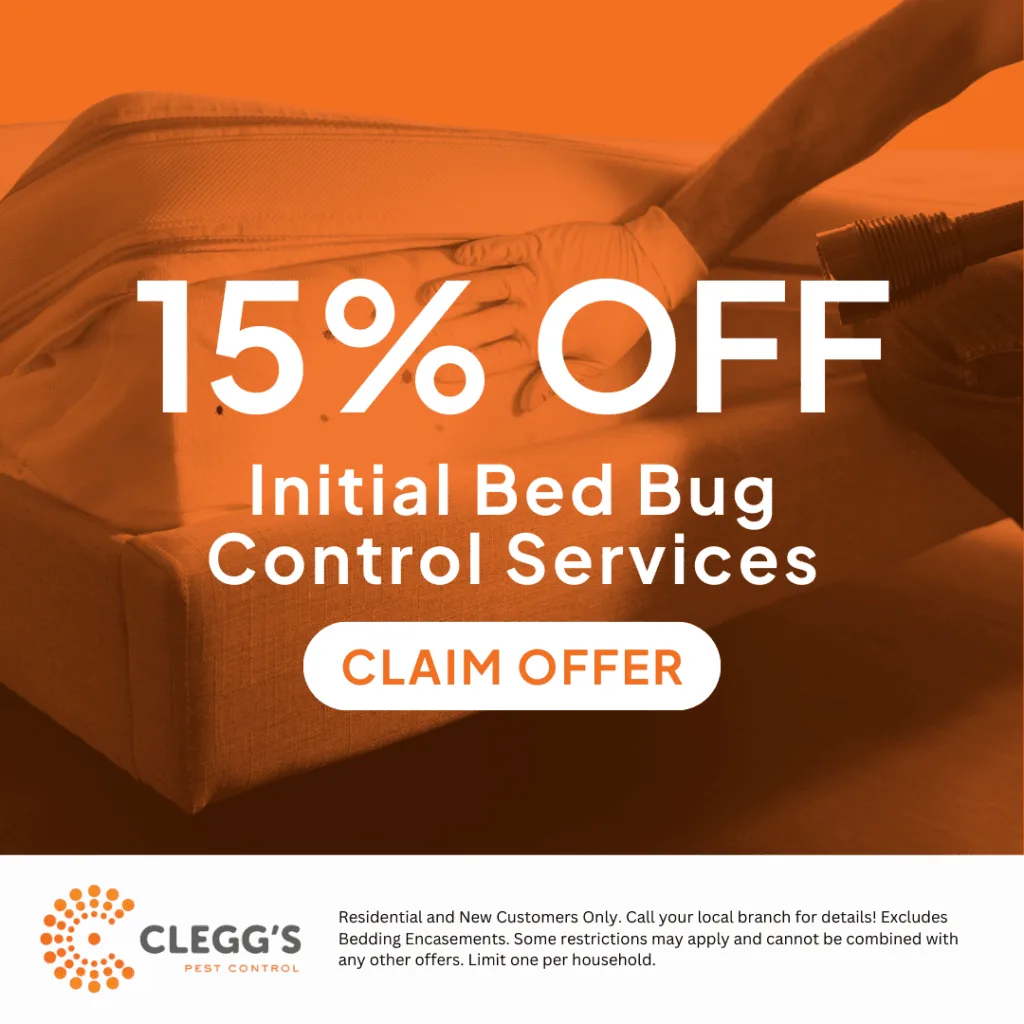 Bed bug control services promotional graphic