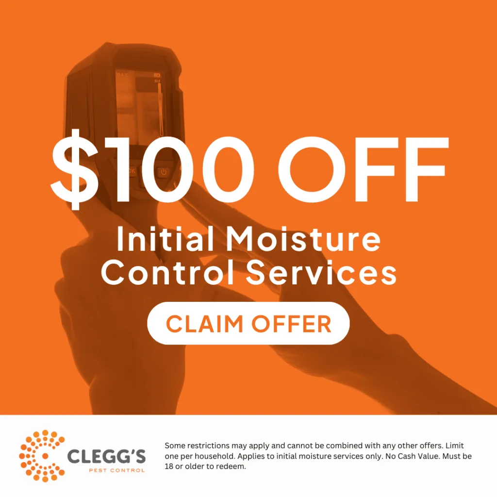 Moisture control services promotional graphic