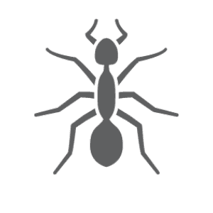 Ant pest control in Stallings NC