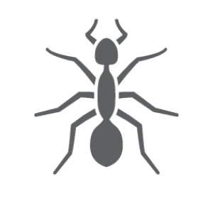 Ant pest control in Statesville NC