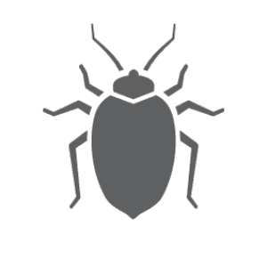 Bed bug pest control in Stallings NC