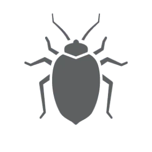 Bed bug pest control in Statesville NC