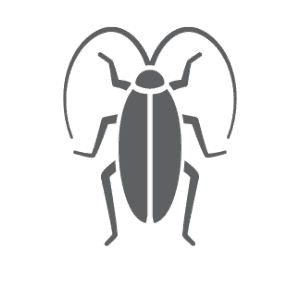 Cockroach pest control in Stallings NC