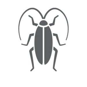 Cockroach pest control in Statesville NC