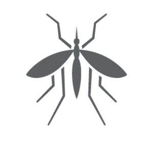 Mosquito pest control in Statesville NC