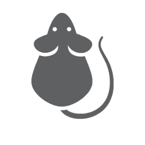 Rodent pest control in Stallings NC