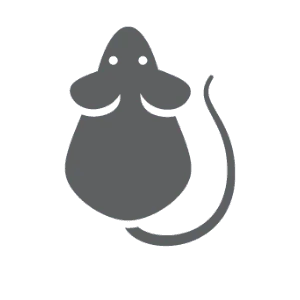 Rodent pest control in Statesville NC