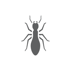 Termite pest control in Stallings NC