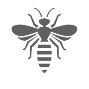 Wasp and hornet pest control in Stallings NC