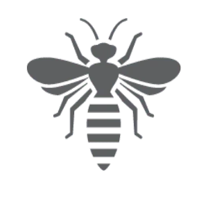 Wasp and hornet control in Statesville NC