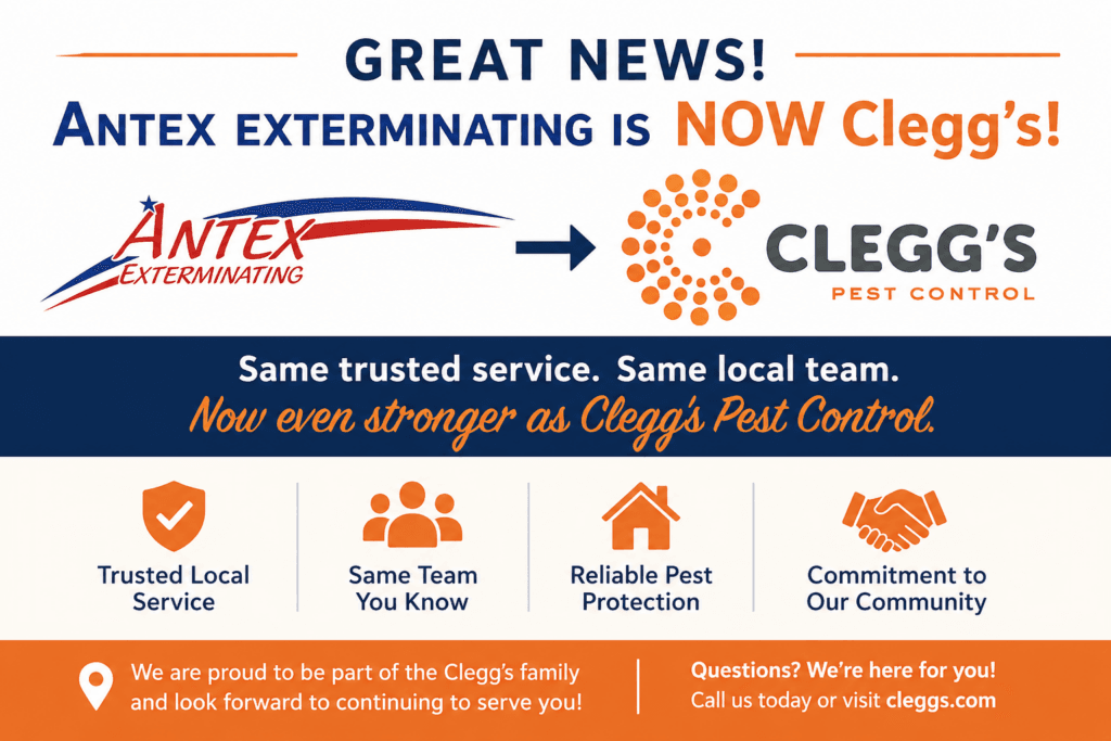 Antex to Cleggs