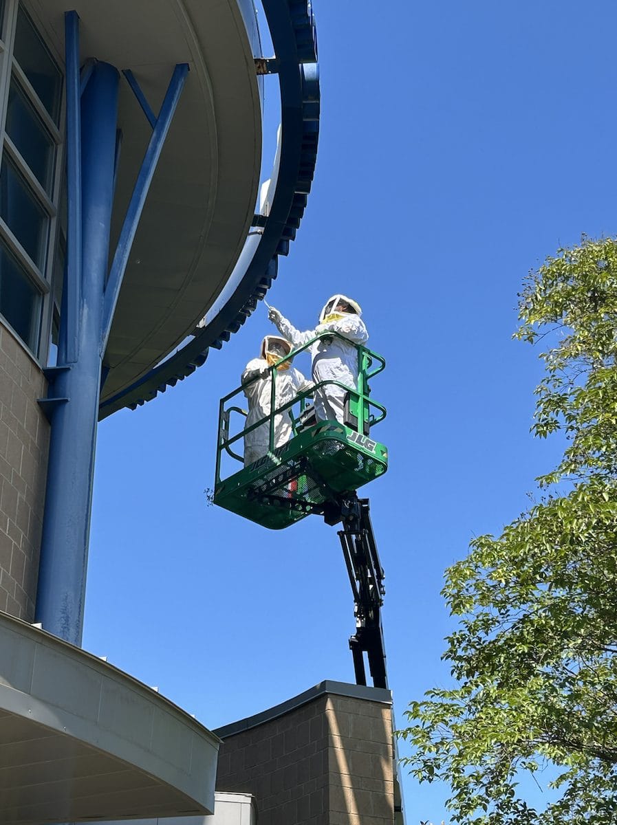 Two Clegg's Pest Control technicians in protective bee suits treating a wasp nest under a building overhang from an aerial lift in North Carolina