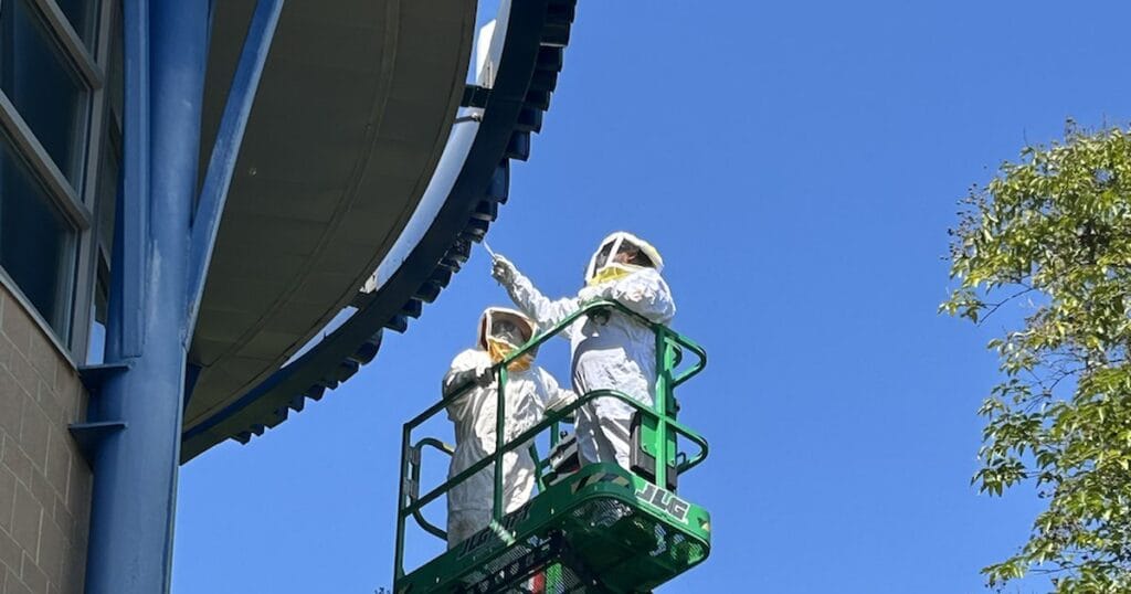 Clegg's Pest Control technicians in bee suits treating a wasp nest under a building overhang from an aerial lift in North Carolina