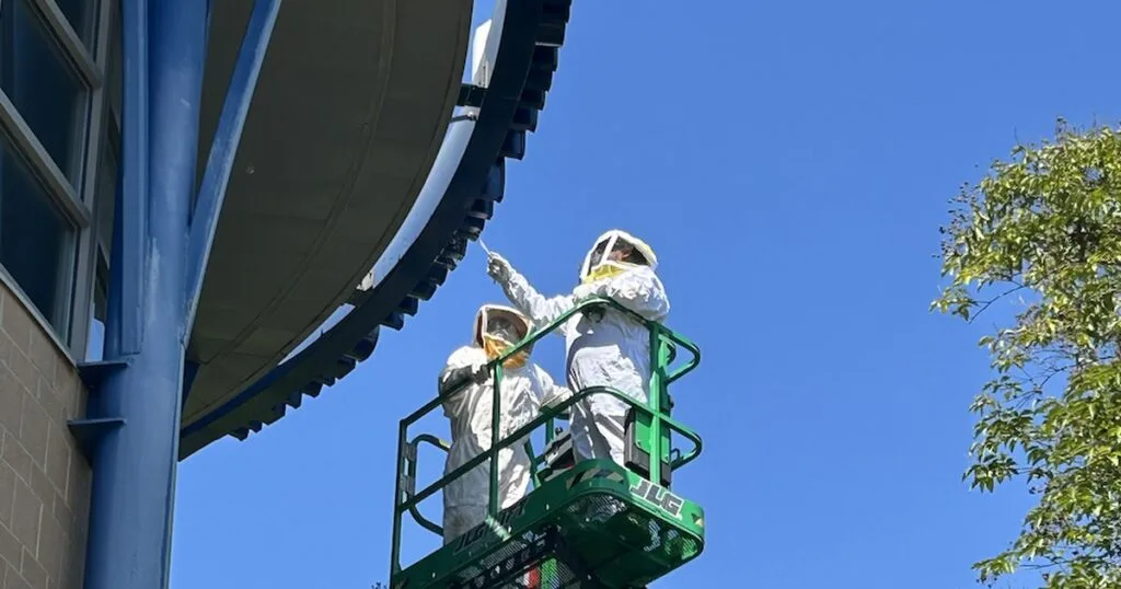 Clegg's Pest Control technicians in bee suits treating a wasp nest under a building overhang from an aerial lift in North Carolina