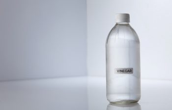 A small, clear plastic bottle that reads “vinegar” in front of a white background