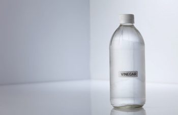 A small, clear plastic bottle that reads “vinegar” in front of a white background